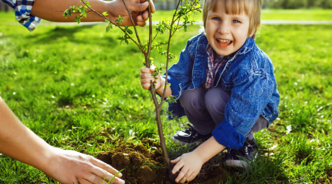 Borgere planter træer